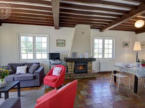 TV, fireplace, DVD player, ping pong - Modern cottage with garden and ping pong (Nervieux)