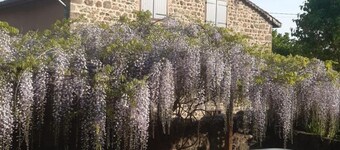 19th Century Authentic House with Garden, Pets Allowed