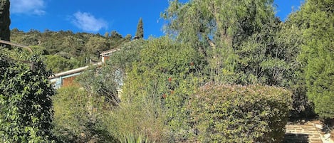 Terrain de lâhĂ©bergement