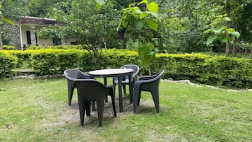 Vue sur le jardin