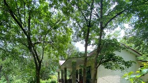 A pathway leading to a white building with a porch, surrounded by lush greenery and trees. - The Harikanta Corbett Resort (Marchula)