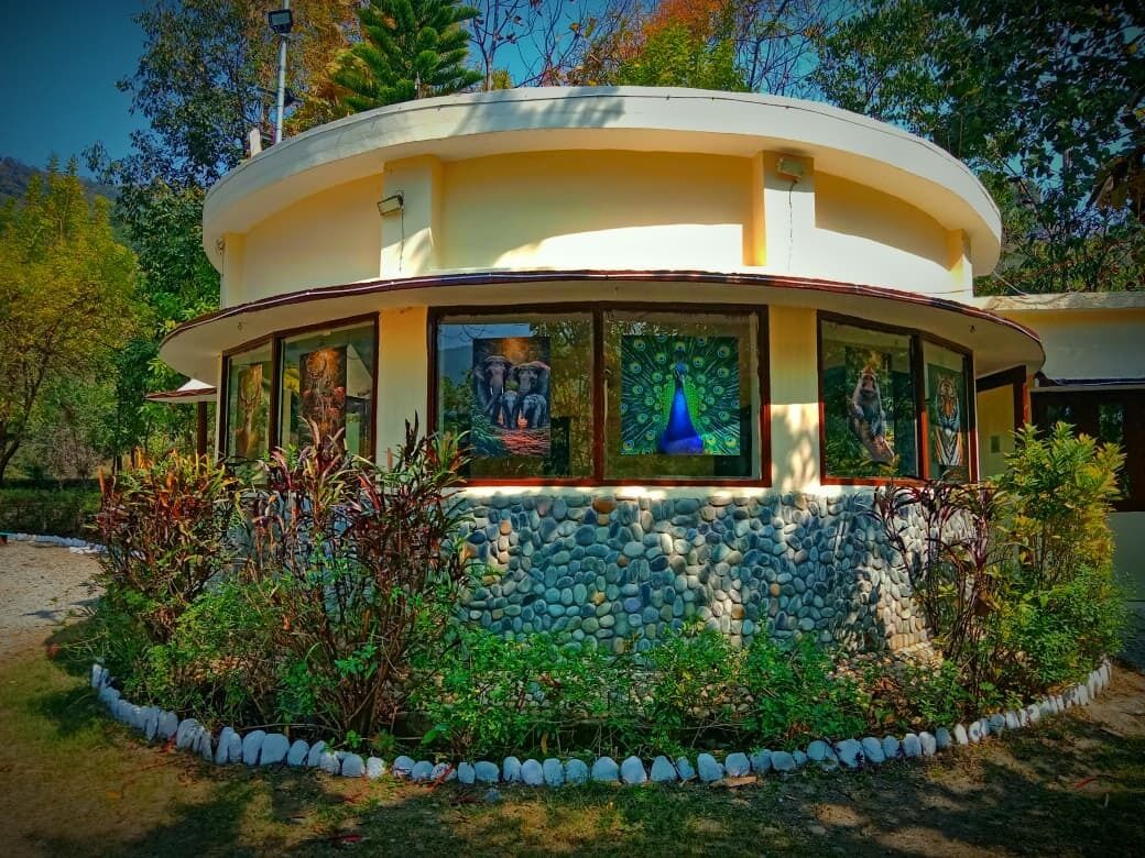 منطقة الاستقبال