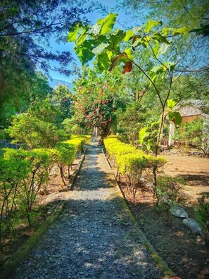 Front of property - The Harikanta Corbett Resort (Marchula)