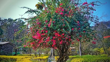 واجهة المنشأة