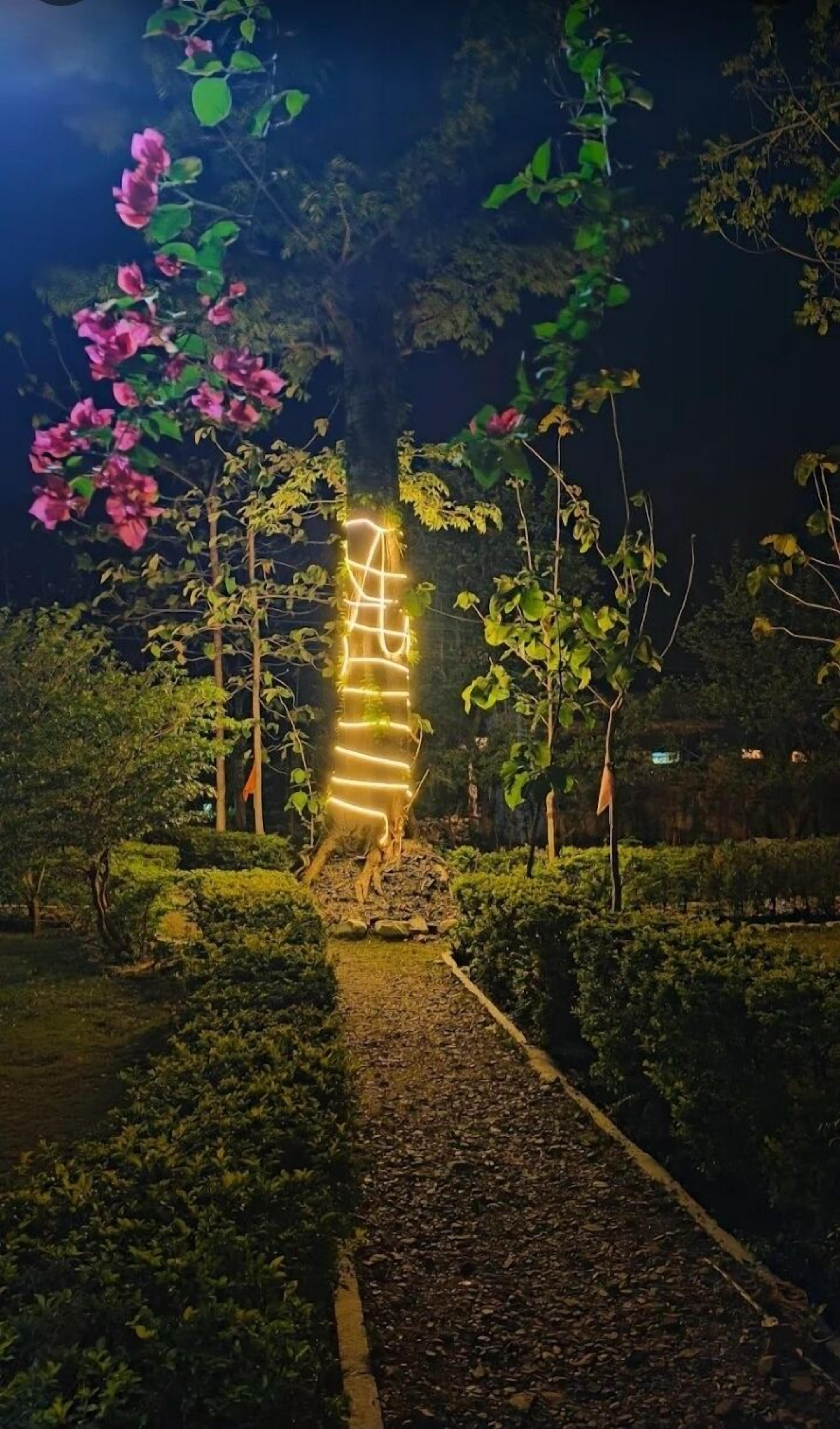 واجهة المنشأة