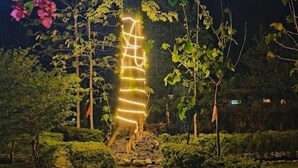A garden pathway leading to a tree with illuminated branches. - The Harikanta Corbett Resort (Marchula)