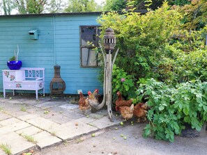 テラス / パティオ