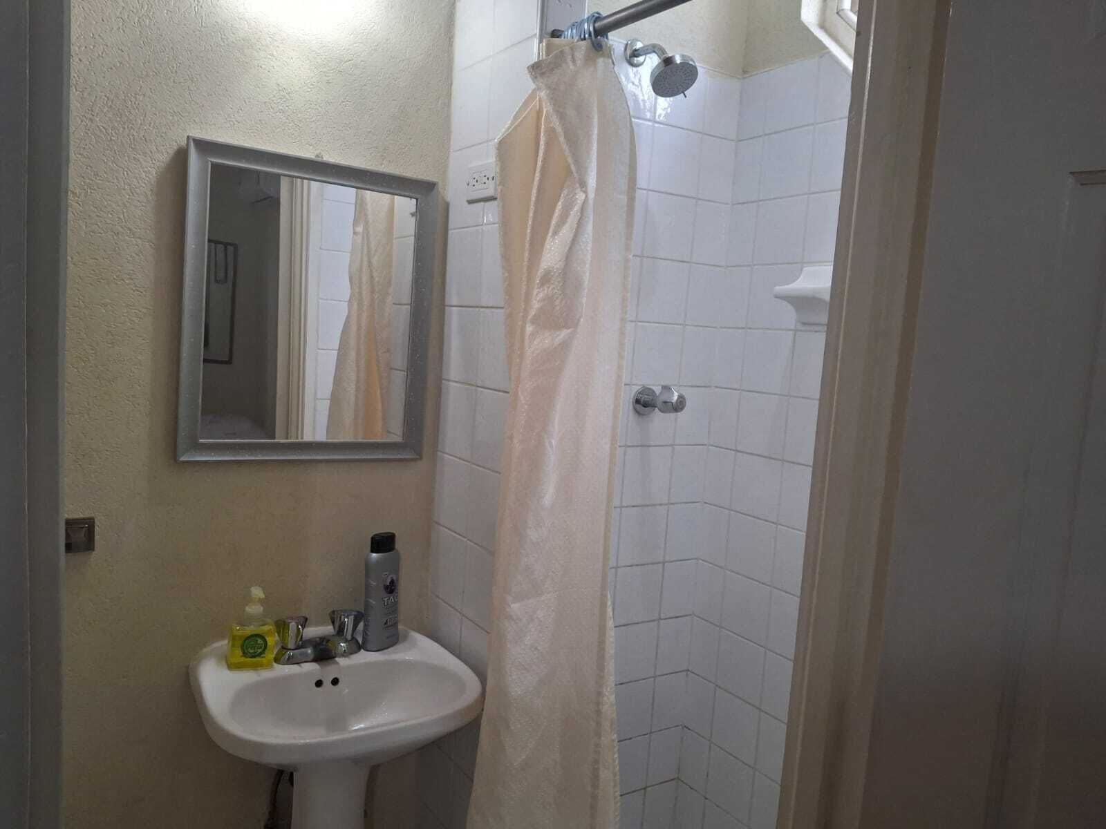 A bathroom with a white sink, a mirror, and a shower area.