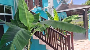 Un bâtiment bleu avec un escalier et un grand bananier au premier plan.
