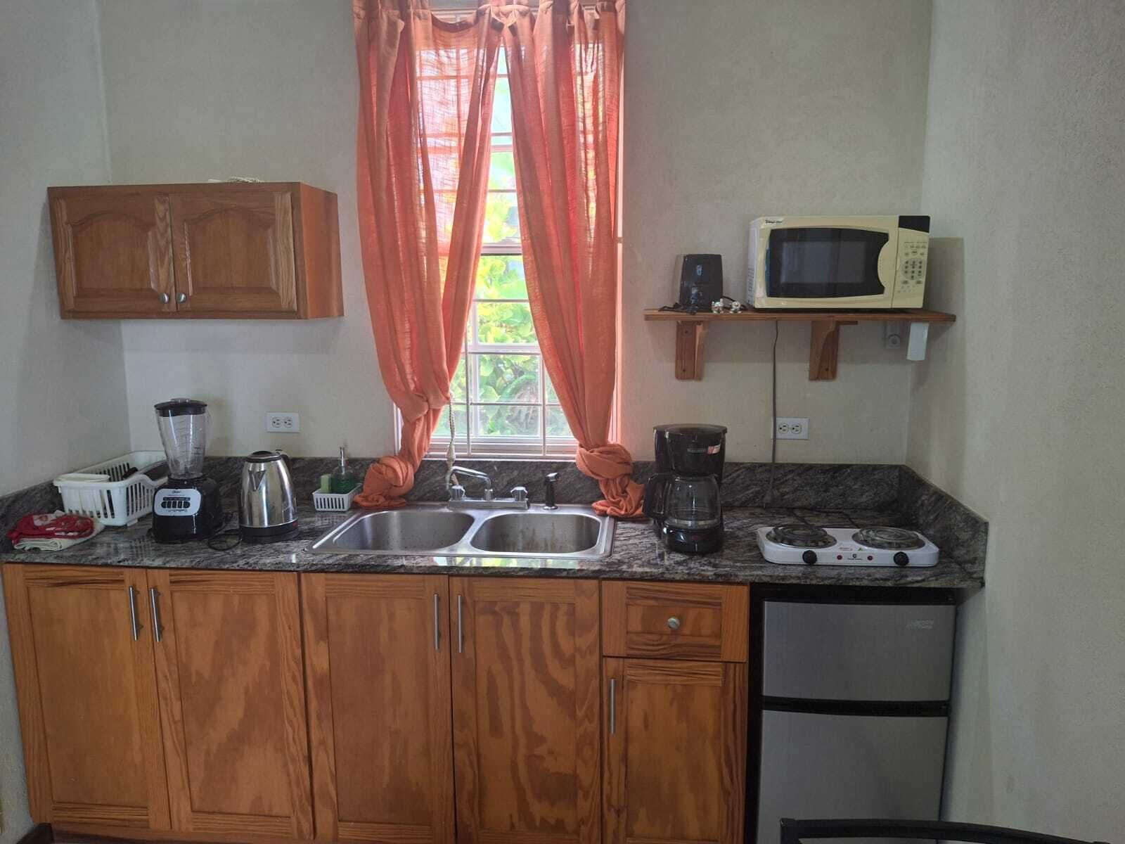 Een kleine keuken met houten kastjes, een dubbele spoelbak, een magnetron, een koffiezetapparaat en een blender.