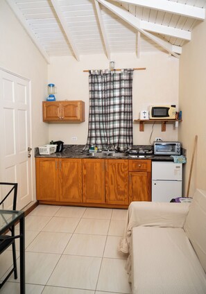 Full-sized fridge, microwave, oven, stovetop