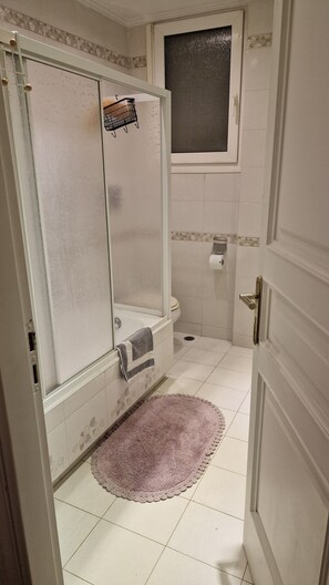 Hair dryer, towels, soap, toilet paper