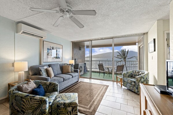 Smart TV, DVD player