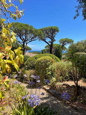 Property grounds - Villa Les Chênes - Golf de Saint-Tropez Experience (Grimaud)