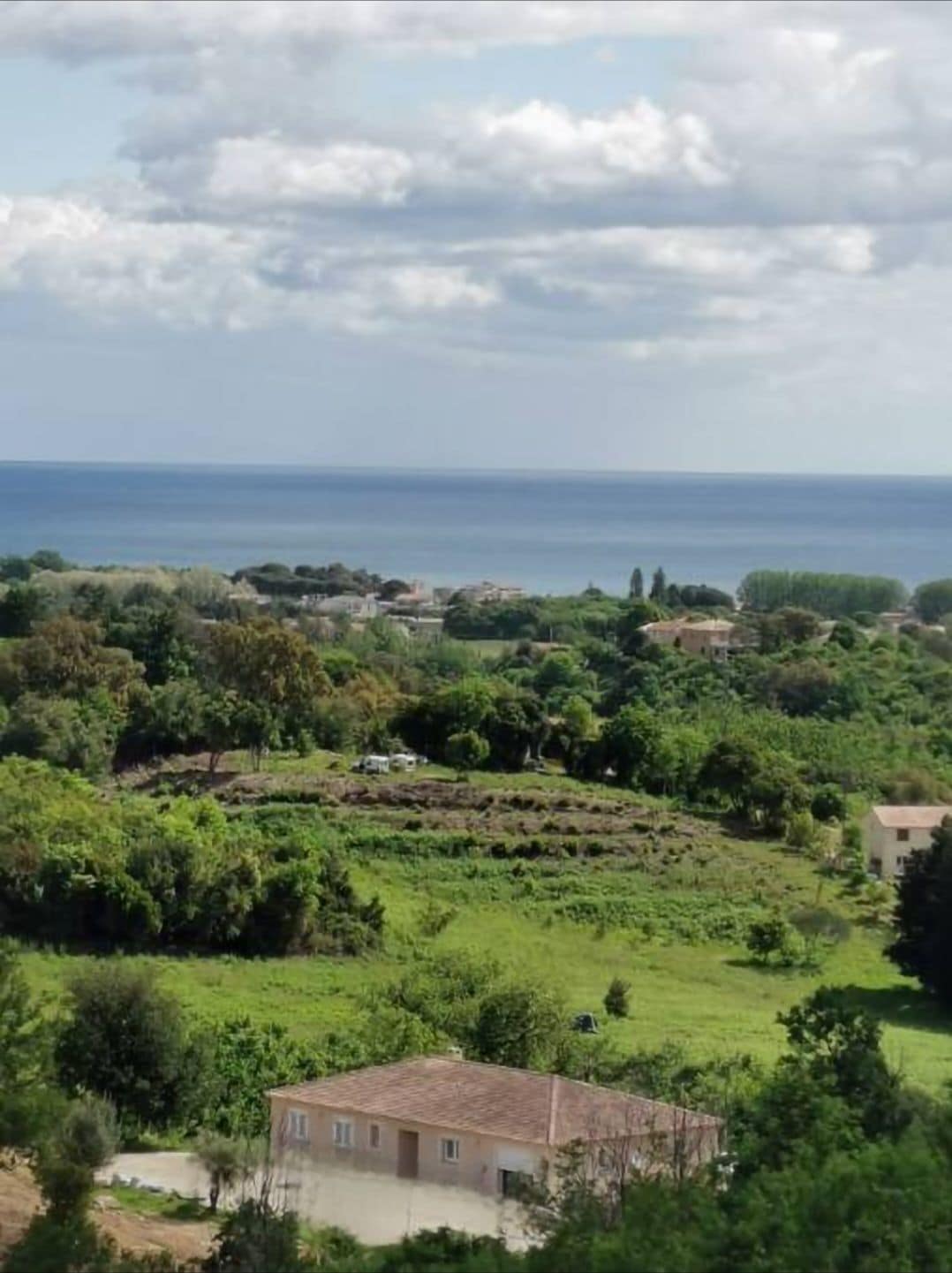 منوع