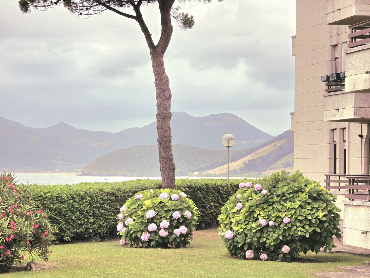 A landscaped garden with neatly trimmed bushes and a tree, a lamp post, and a building with balconies.
