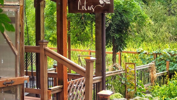 A wooden staircase with a sign reading "White Lotus." - Backs to Wetlands: Tranquil Beaverton Retreat! (Beaverton)