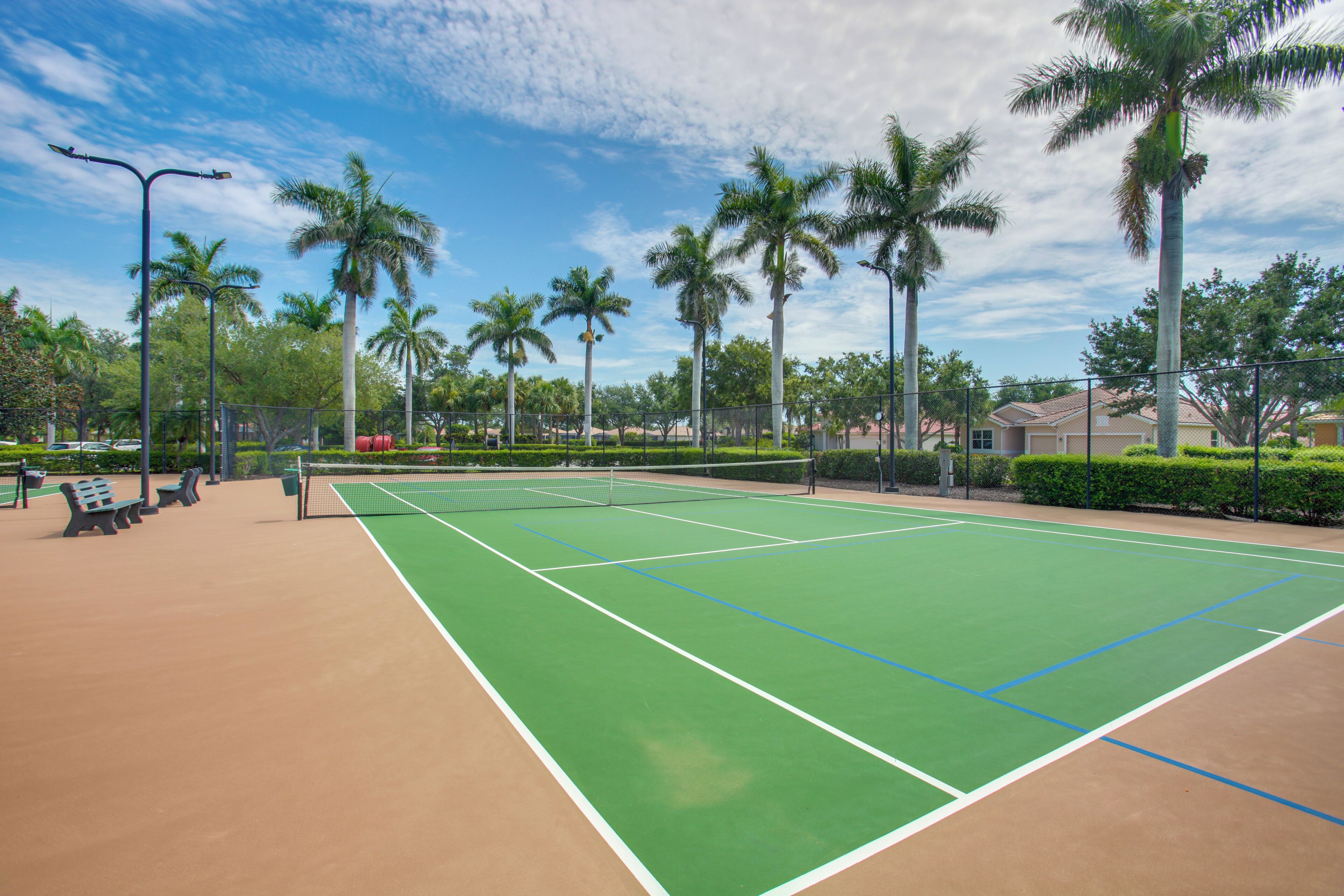 An outdoor tennis court with a net, surrounded by palm trees and benches.