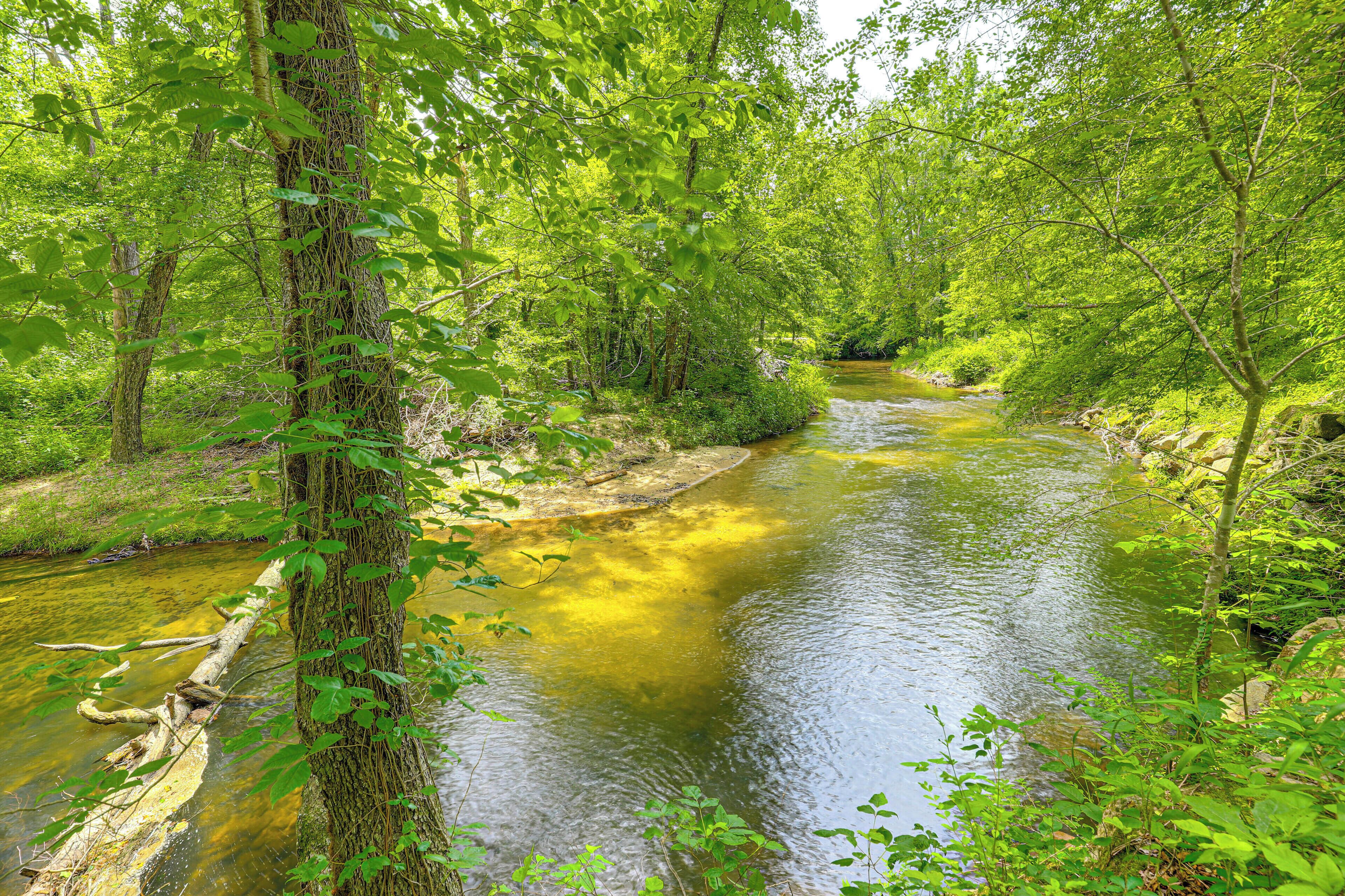 Un fiume che scorre attraverso una zona boscosa e rigogliosa, fiancheggiata da alberi e vegetazione.