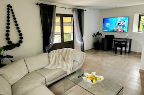Smart TV, fireplace, books