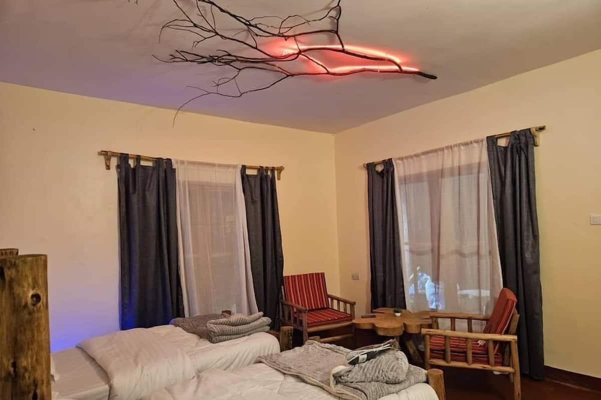 A room with two beds, a wooden chair, a small table, and a unique ceiling light fixture.