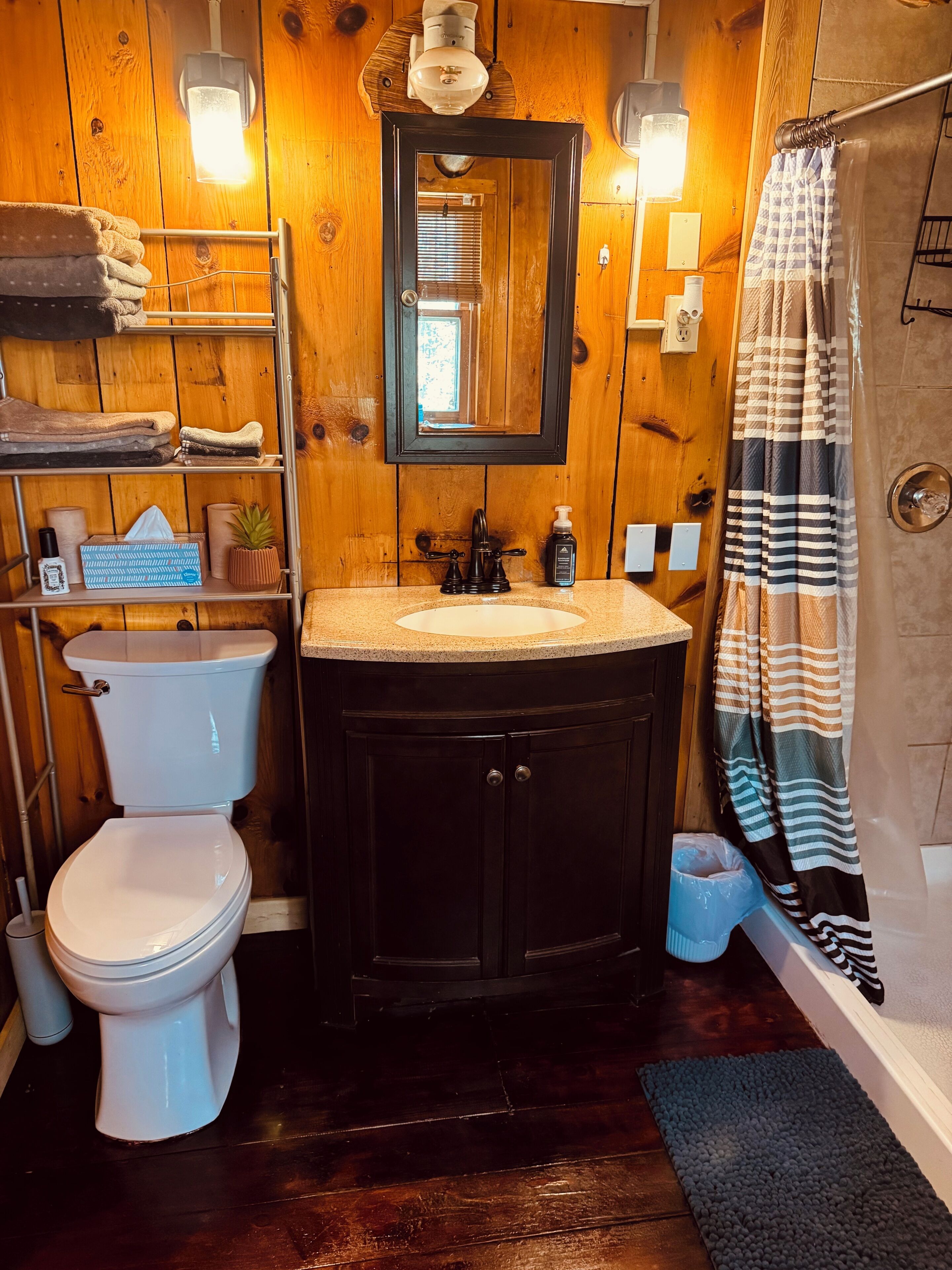 Shower, towels, toilet paper