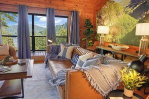 Smart TV, fireplace, video games