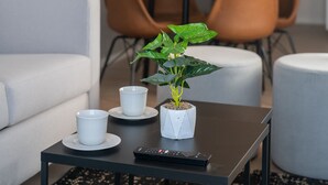 Una sala moderna con un sofá, una mesa de centro con una planta, y un comedor con sillas y una mesa.