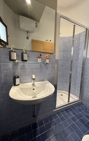 Shower, bidet, towels, soap