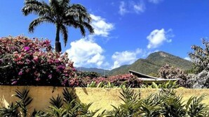 A tropical garden with a palm tree and flowering plants, a yellow wall, and a mountain in the background. - Spectacular house in Choroni (Puerto Colombia 2110)