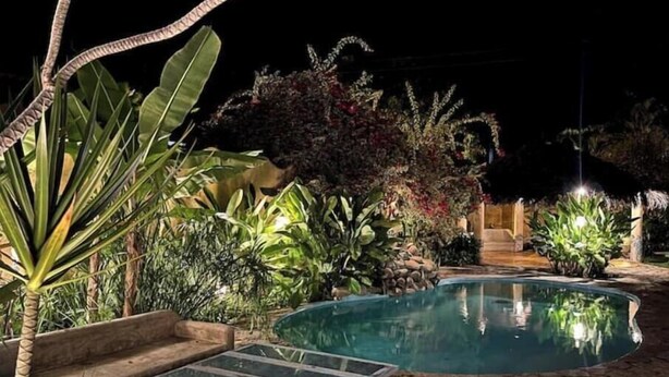A nighttime pool area with a clear pool, lounge chairs, and various tropical plants. - Family room in Choroni (Puerto Colombia 2110)