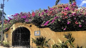 A building with a yellow facade, a black gate, and pink bougainvillea flowers. - Family room in Choroni (Puerto Colombia 2110)