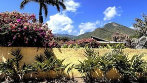 A tropical garden with a palm tree and flowering plants, a yellow wall, and a mountain in the background. - Room for a couple in Choroni (Puerto Colombia 2110)