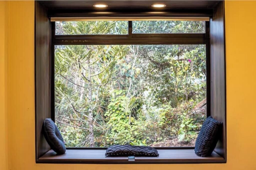 Una ventana con vista a follaje denso y un cojín en el alféizar.