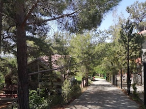 Villa, 4 Bedrooms | Garden