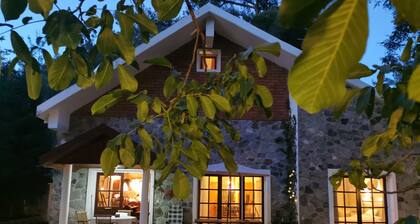 Villa Enriette - Panoramic Mountain Retreat in Pano Platres, Cyprus