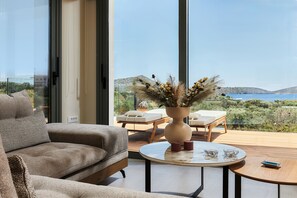 スマートテレビ、書庫、ステレオ