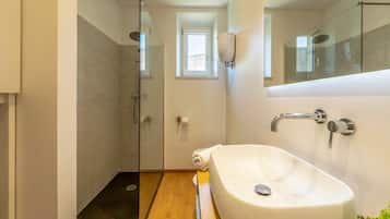 Regadera, secadora de cabello, bidet, toallas