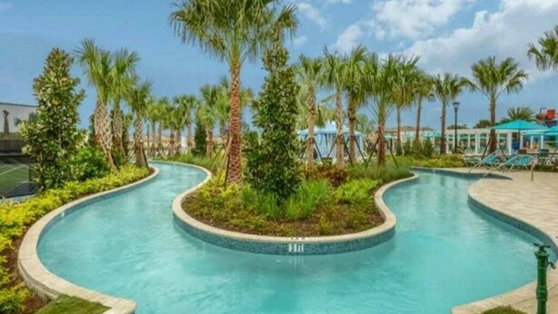 Una piscina de diseño curvo, rodeada de palmeras y follaje.