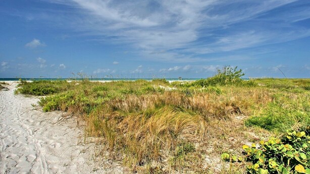 A sandy beach path with sparse vegetation and a clear sky. - Jersey Gal 3 Bedroom Home (Anna Maria)