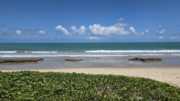 A beach with calm waves, clear sky, and green vegetation in the foreground. - Casa 10 Village I Carneiros by La Playa  (Tamandaré)