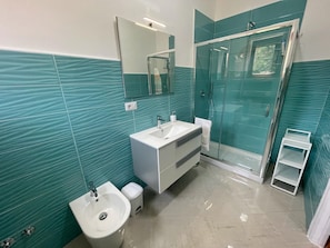 Shower, hair dryer, bidet, towels