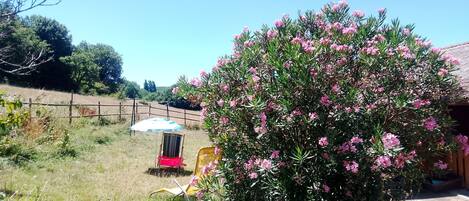 Área da propriedade