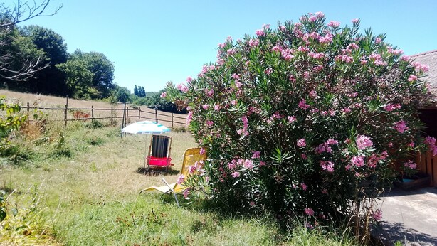 A garden with a wooden fence, a red chair, and a yellow chair under a white umbrella.