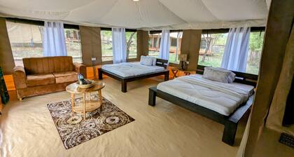 DoubleG Safaris and Camp Mikumi