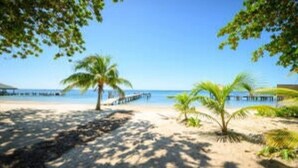 Ein Strand mit Palmen, einem Steg und blauem Himmel.