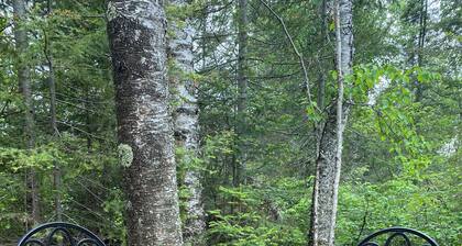 See Stars - Camp Fires - 5 mins from Grand Marais