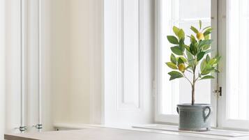 Appartement Supérieur | Cuisine privée