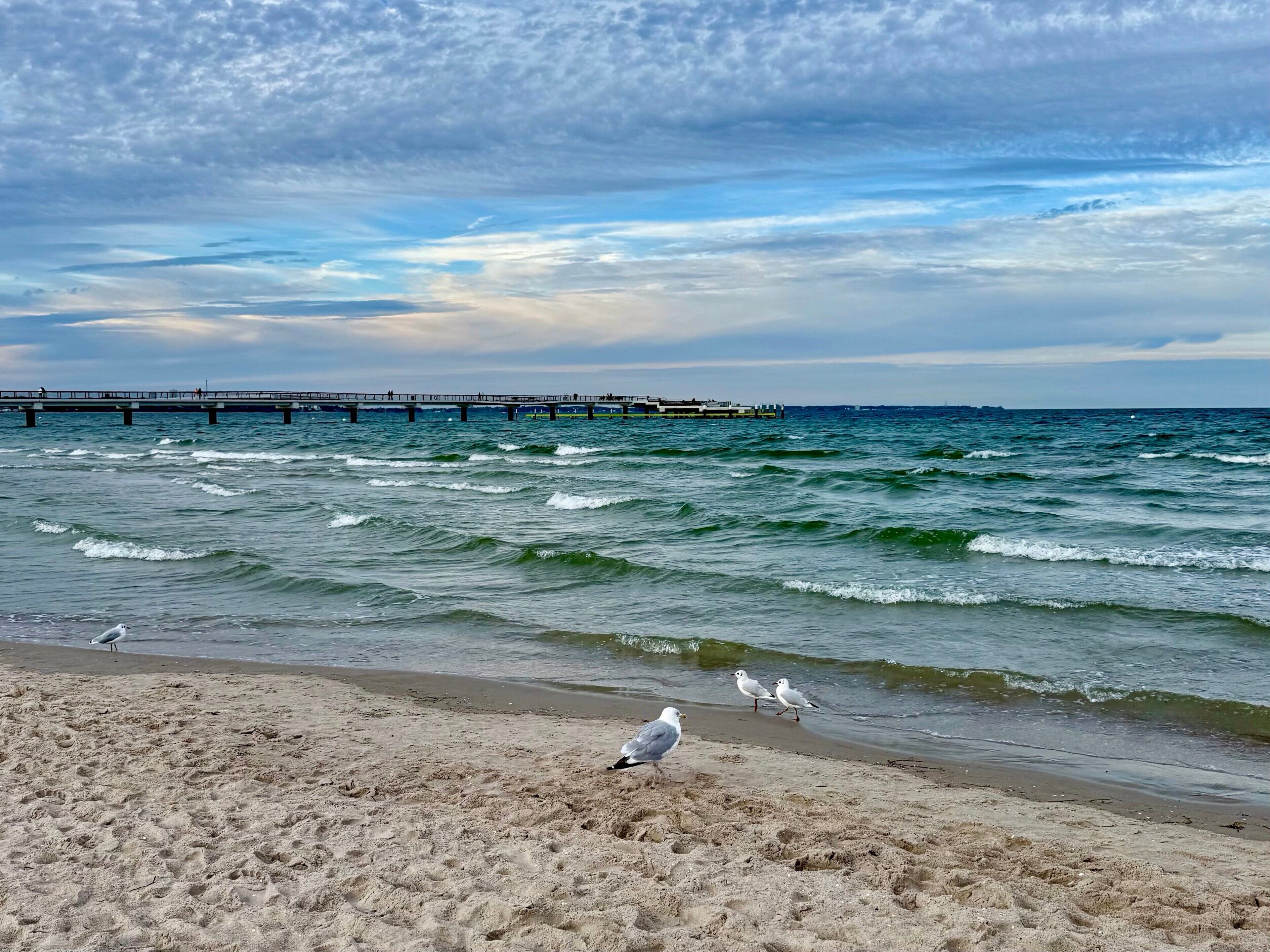 Strand