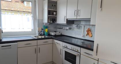Holiday apartment Frauenau for 1 - 10 persons with 4 bedrooms - Holiday apartment in one or multi-fa